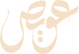 Owais Media Logo